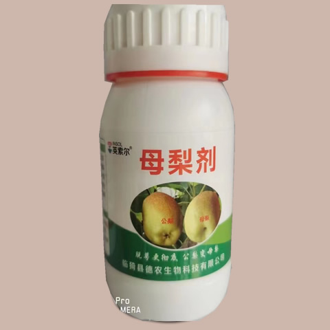 母梨剂